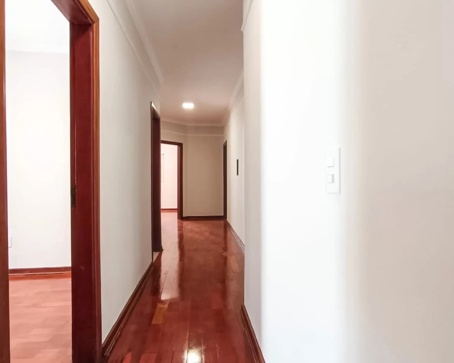são josé wagner 7 (12)